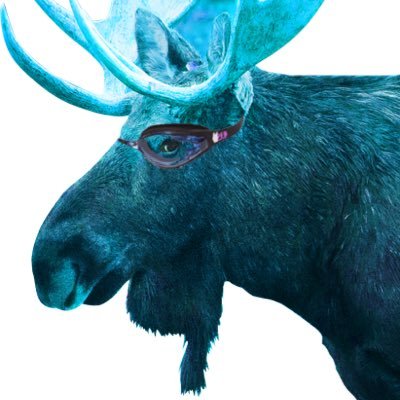 the_watermoose's profile picture. 
