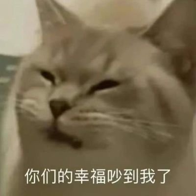 rkB687DpYwzx9Sg's profile picture. 