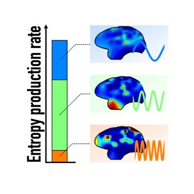 D_Sekizawa's profile picture. neuroscience and physics