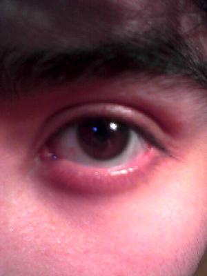 jonatanmezam's profile picture. 