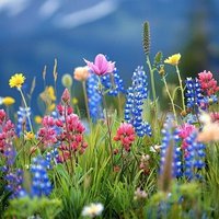 Fedor/Kat (@fedorkat) 's Twitter Profile Photo