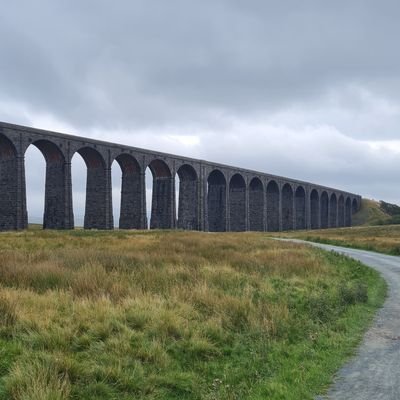 lufc_white45487's profile picture. Starmer out. Shove your digital ID. In Tommy we trust 👊