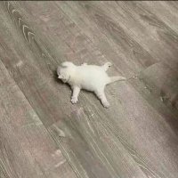 x² - norie ✰ (@nor1ed) 's Twitter Profile