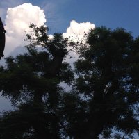 孫硏 (@sunyan01) 's Twitter Profile