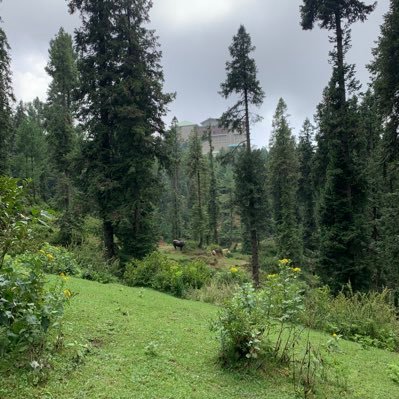 MuhammadZahid_7's profile picture. 