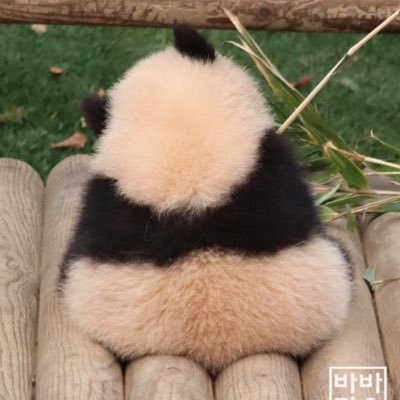 icecreamm11_1's profile picture. 