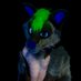 Ruswarp 🌒 (@ruswarpwolfad) Twitter profile photo Ruswarp 🌒 (@ruswarpwolfad) Twitter profile photo