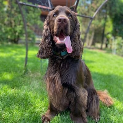 Sebadr88's profile picture. Pyra