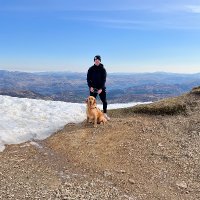 DeclanToland (@declantolandd) 's Twitter Profile