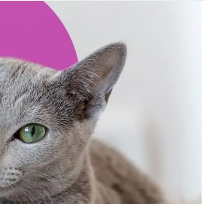 Azuk_paglm's profile picture. Web3 | DePIN | AI | Crypto-native. Future is decentralized & intelligent.