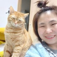 あやまんJAPANのこぼちゃん🍘(こぼり濡れ煎餅店) (@yuki5280) 's Twitter Profile