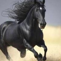 BLACKHOURSE (@blackhourse07) 's Twitter Profile Photo BLACKHOURSE (@blackhourse07) 's Twitter Profile Photo