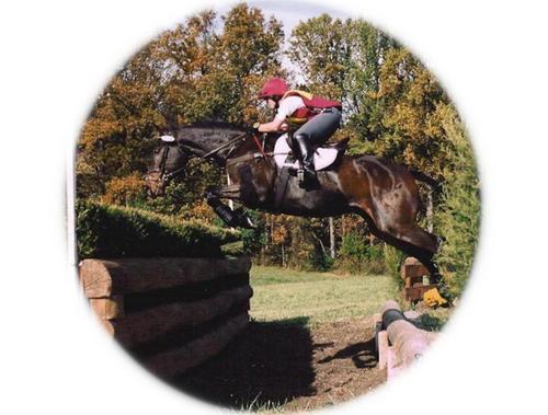 We are the world's leading source for online Eventing information!