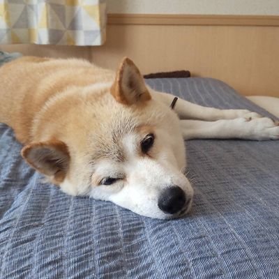 ELAB0yDdzkZBmsi's profile picture. 愛する車はFerrariチャレンジストラダーレ&458車と釣りが大好きで少年の心を大切にしてるおっさんです(=^･･^)b