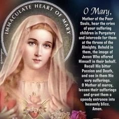 AnnaWesson67517's profile picture. Absolutely Catholic Housewife, Confraternity of Brown Scapular, Blessed Mother follower, Rosary , After that, he saith to the disciple: Behold thy mother.
