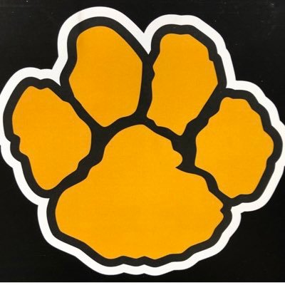 North Allegheny Varsity Football | WPIAL 6A - PIAA 7 #T4L | T.I.G.E.R. | #FightTogether | #Family This is NA: https://t.co/yfpTBS7aaF