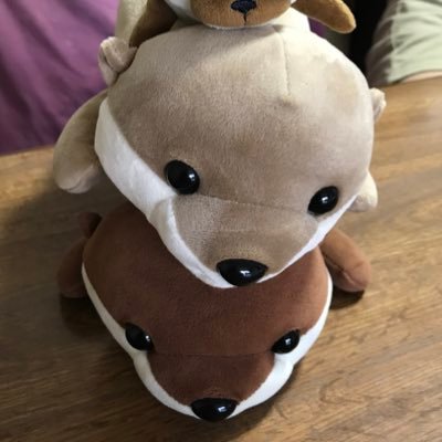 Ods_273's profile picture. 