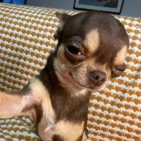 ángel🪽princess of power (@angeelcrespo) 's Twitter Profile Photo ángel🪽princess of power (@angeelcrespo) 's Twitter Profile Photo