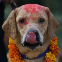 N64 (@nandz64) 's Twitter Profile Photo