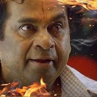 RoaringVibes (@roaringvibes1) 's Twitter Profile