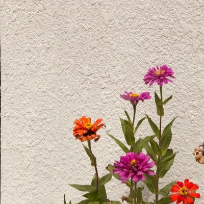 llManar2's profile picture. ﴿وَلَسَوْفَ يُعْطِيكَ رَبُّكَ فَتَرْضَى﴾