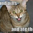 jacob wigley - @eljaco88 - Twitter