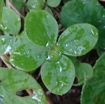 ruka_535's profile picture. 🧘‍♀自分らしく生きるために🧘
真実を知りたくて皆さんが発信されている情報から学ばせて頂いています。情報発信には至りませんが、素敵な記事はフォローやリポストさせて頂いていますm(_ _)m
　　　　　　　出会系、アダルト系、マーキングと判断したフォローは、ブロックさせて頂きます。