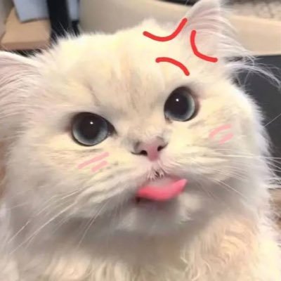 Creammy372194's profile picture. 