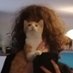 kchlohyeh (@dumbchloee) Twitter profile photo kchlohyeh (@dumbchloee) Twitter profile photo