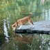 terrierchap (@dogwalker74) Twitter profile photo terrierchap (@dogwalker74) Twitter profile photo