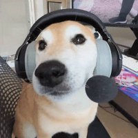 luke 🦦 (@ifuzzy__) 's Twitter Profile Photo luke 🦦 (@ifuzzy__) 's Twitter Profile Photo