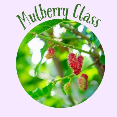 HvaMulberry's profile picture. Class Teacher of Mulberry Class at HVA. This page will be used to keep you up to date with all the news and exciting learning in Year 4.
