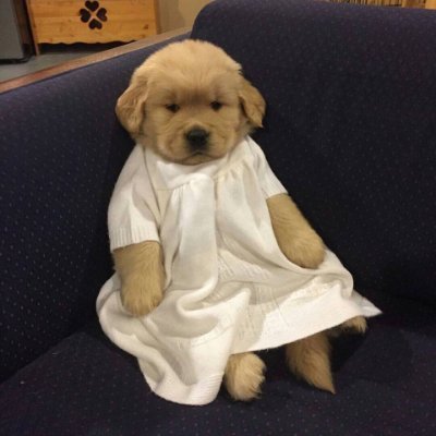 birokopter's profile picture. Idleness is the devil's toy, even if the whole world is against me, I will be right, and I am inspired by it