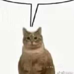 一个什么都可能出现的账户…中文/Eng
想起来了就发点(发点)