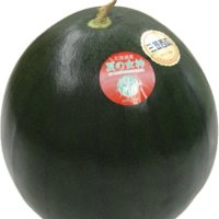 ぷよ (@junhotanchin1) Twitter profile photo