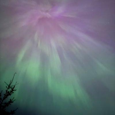 EVERYTHING AMAZING! family. nature. animals. pets. art. creations. science. technology. space and beyond.