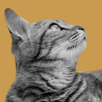 fujiさんのプロフィール画像