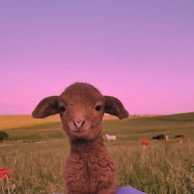 cio01_p's profile picture. garden purse shallow cruel radio ridge arrow tiny search hundred video quit