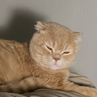 meena (@atrovas_stat) 's Twitter Profile