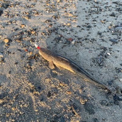 tuong55kg's profile picture. 