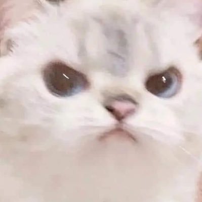 มัมต่าย𐙚さんのプロフィール画像