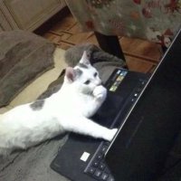 👩🏾💻 (@szasfav) 's Twitter Profile Photo 👩🏾💻 (@szasfav) 's Twitter Profile Photo
