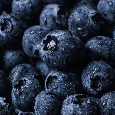 qi5277's profile picture. 