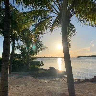 Johnnyjacksaw's profile picture. 40 | W/M | Explorer of all kinks 🔗 Always curious, never judging. Here for connection, freedom, and fun.