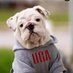 Dawg Fan (@bucsdawgsvikes) Twitter profile photo Dawg Fan (@bucsdawgsvikes) Twitter profile photo