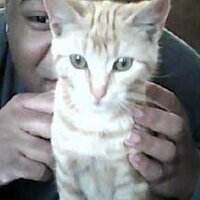 AARON  ALEXANDER (@zbots) 's Twitter Profile