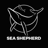 Sea Shepherd US (@seashepherdsscs) 's Twitter Profile