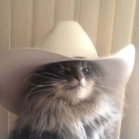 Oliwia 🦞 (@drvoizmogsna) 's Twitter Profile Photo