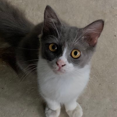 alfyahpratiwi's profile picture. 