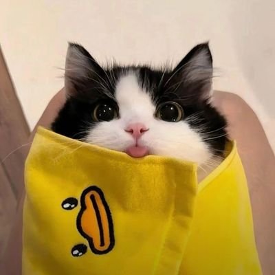 elliot40404's profile picture. Founder mode. I use Arch BTW. I use neovim BTW. Building @LogTrail